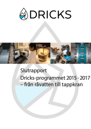 Slutrapport DRICKS-programmet 2015-2017