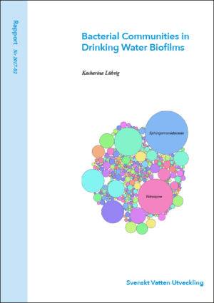 Bakteriella samhällen i dricksvattnets biofilmer