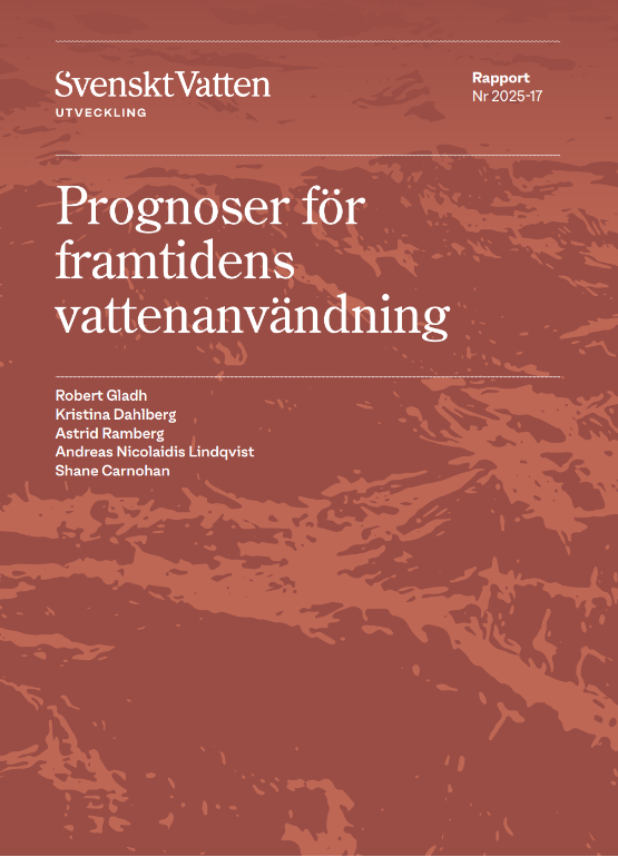 Omslagsbild rapport 2025-17