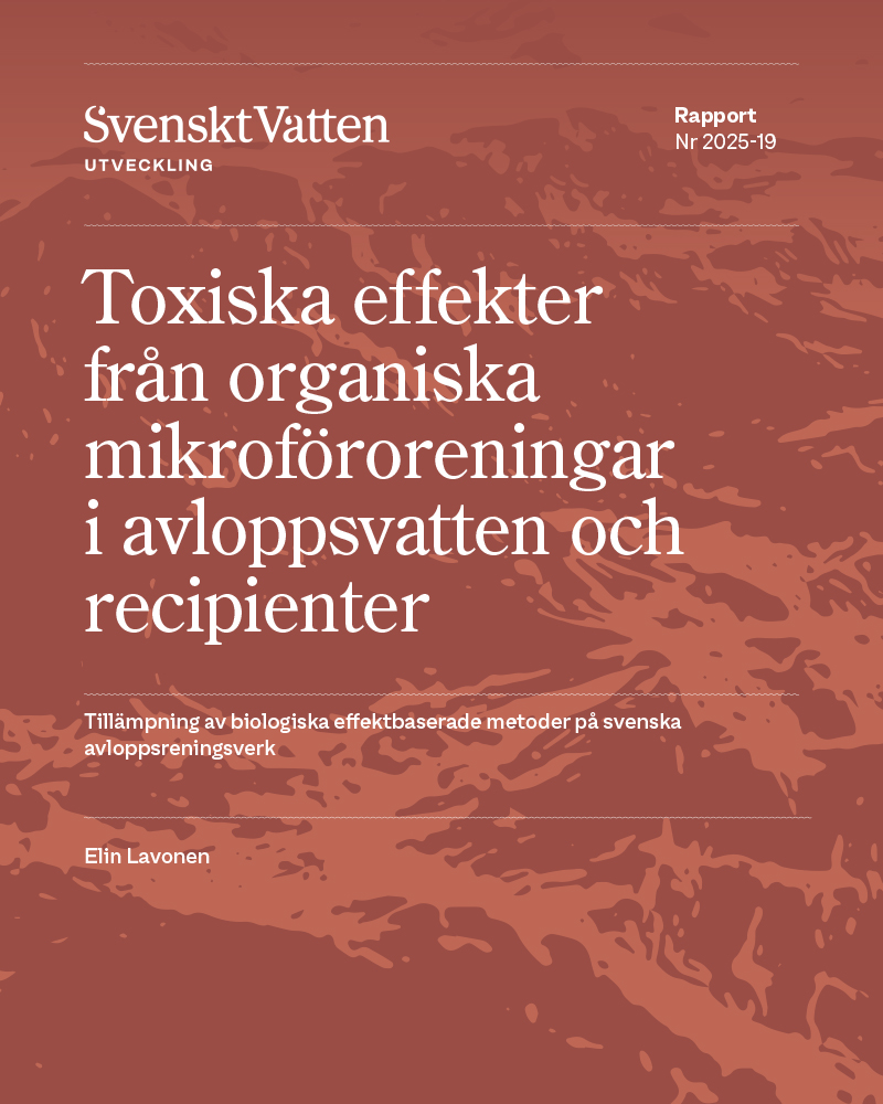 Omslagsbild till rapport 2025-19