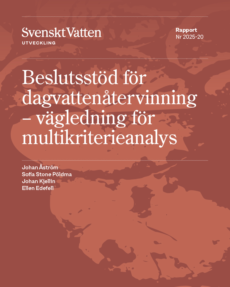 Omslagsbild till rapport 2025-20