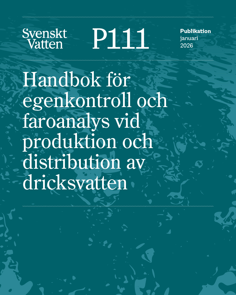 Omslagsbild för publikation P111
