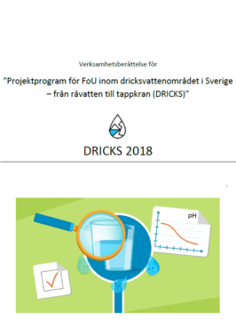C_Verksamhetsberattelse_DRICKS-2018